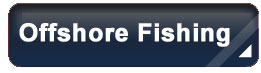 Port Mansfield Charter Fishing