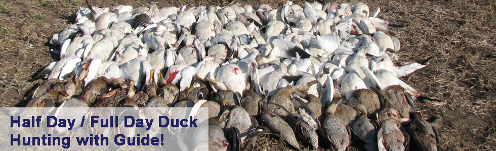 South Texas Hunting Guides