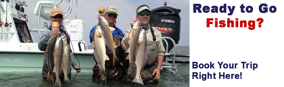 Port Mansfield Fishing Guide